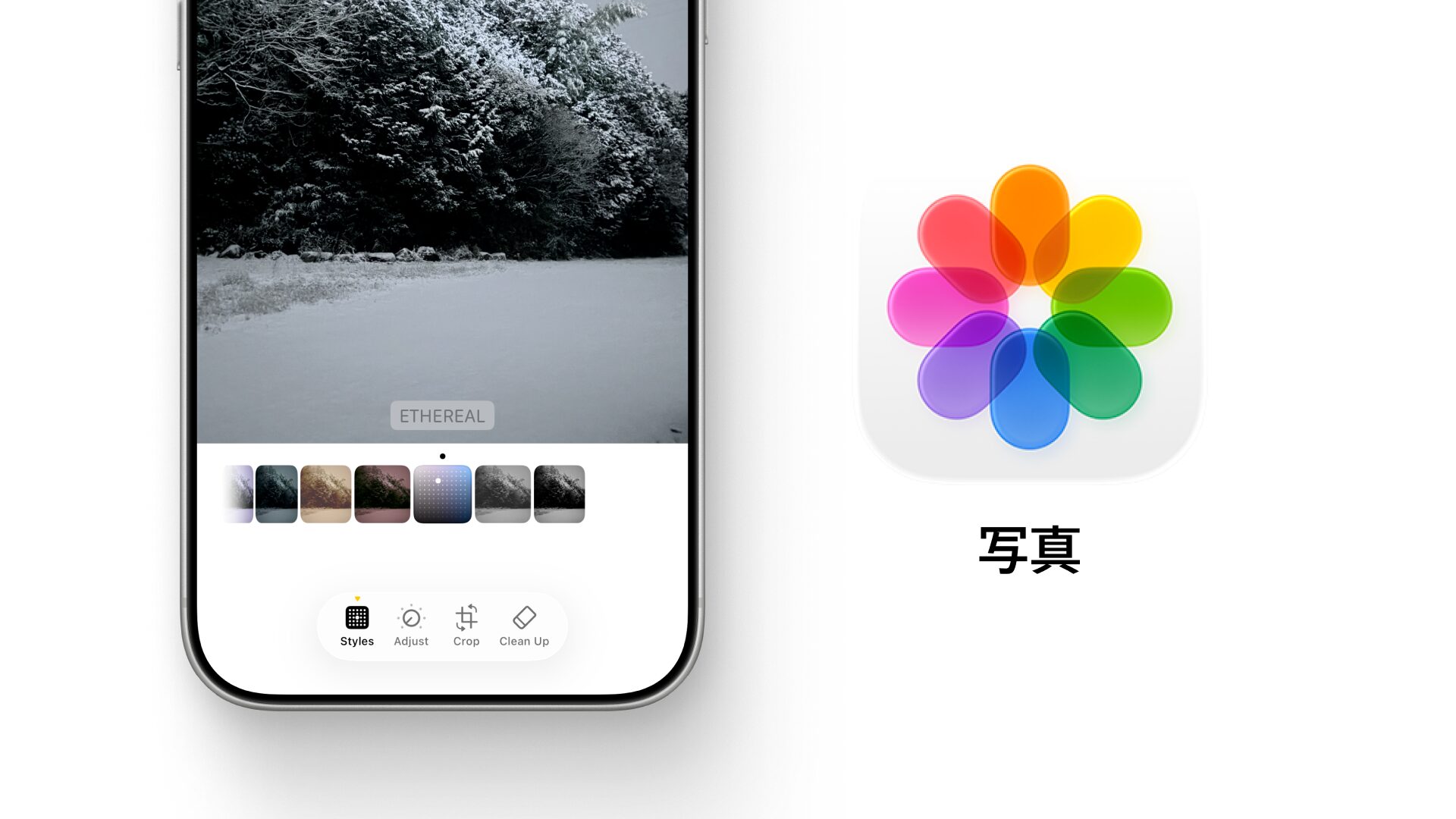 Apple記事「【無料】iPhone写真アプリで写真を整えるコツ」の代表画像